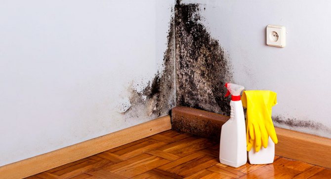 Как можно избавиться от неприятного запаха в квартире — все методы устранения