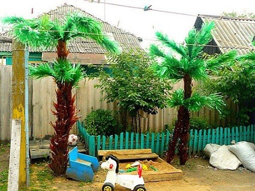 детская площадка под пальмой