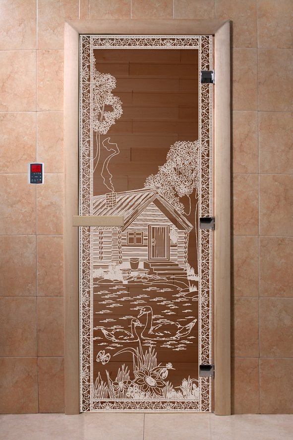 Дверь из термопластика в бане