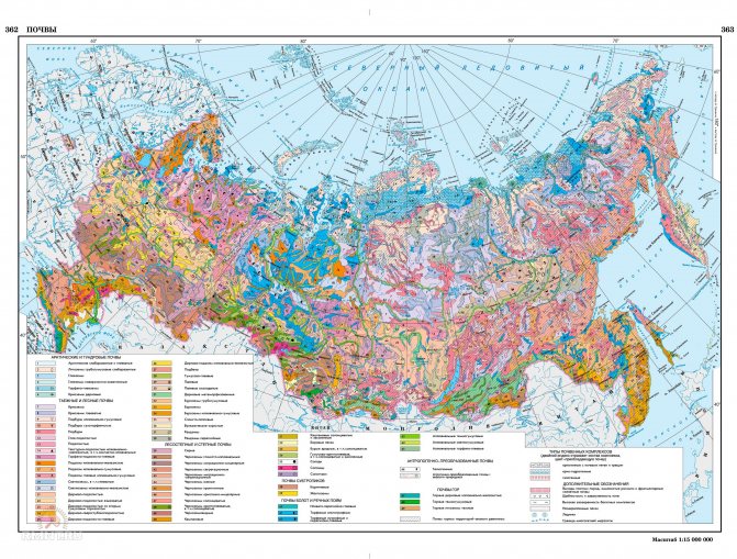 Карта почв России