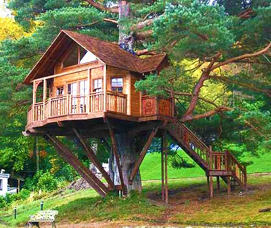 Красивый домик на дереве