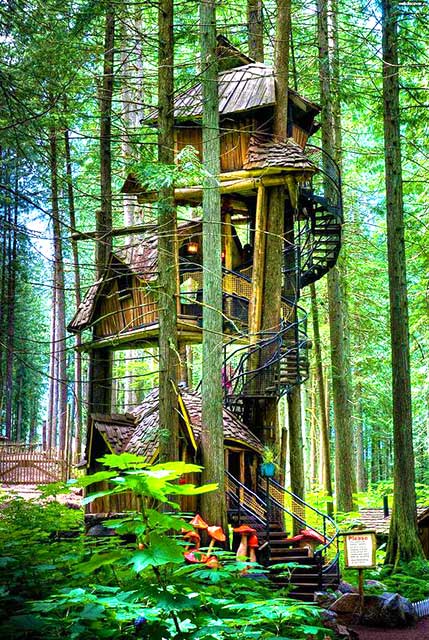 Многоярусный дом на дереве