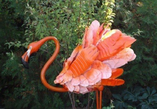 удивительный фламинго